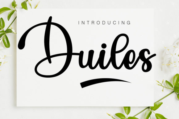 Duiles: A Sophisticated Script Font for Elegant Branding