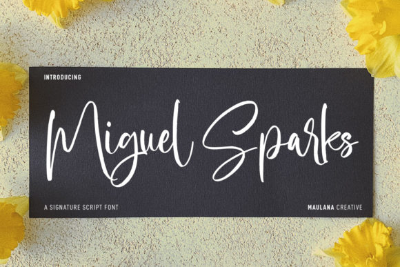 Miguel Sparks: A Dainty Script for Elegant Branding
