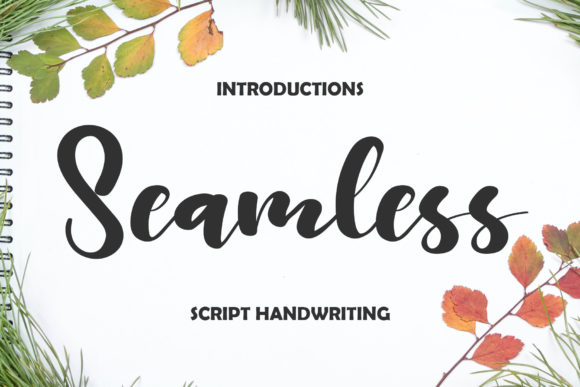 Seamless Script Font for Modern Editorial Design