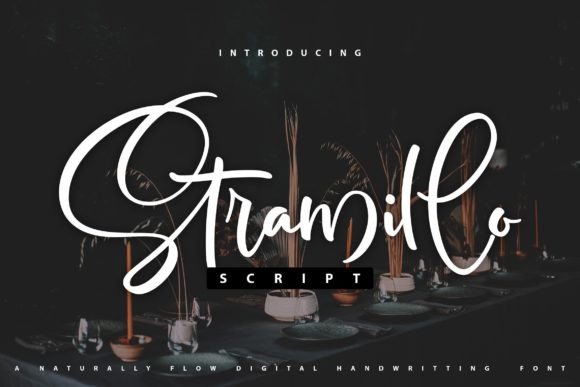 Stramillo: The Script Font for Elegant Business Branding