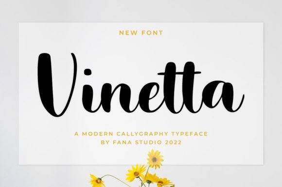 Vinetta: The Script Handwritten Font for Modern Campaigns
